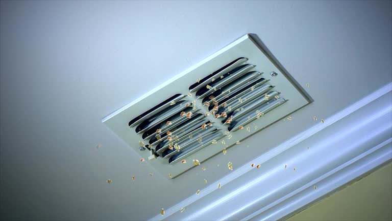 HVAC System Cleaning in Williamsport, IN