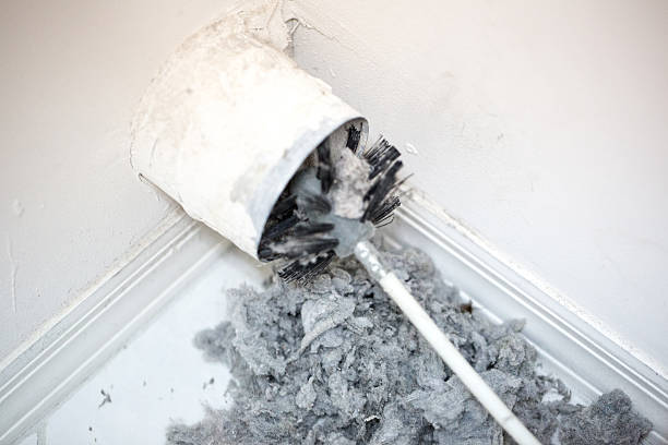 Best Affordable Duct Cleaning Services  in Williamsport, IN